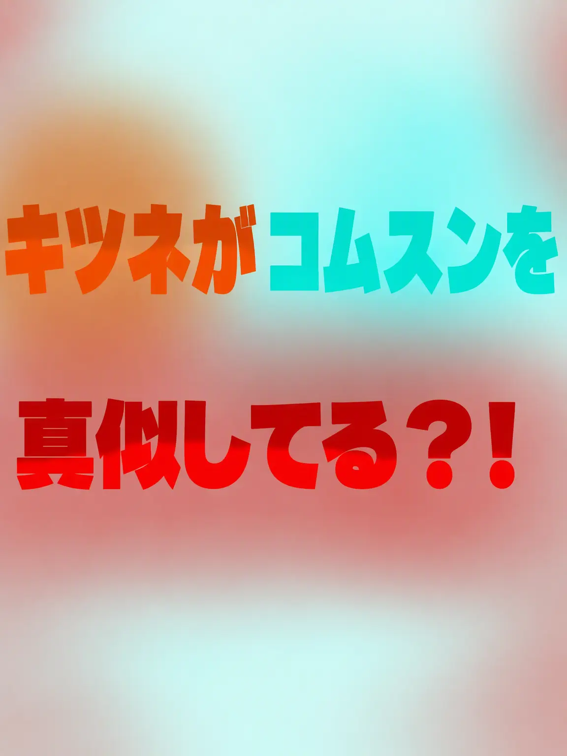 Somaenggu의 キツネがコムスンを真似してる！？