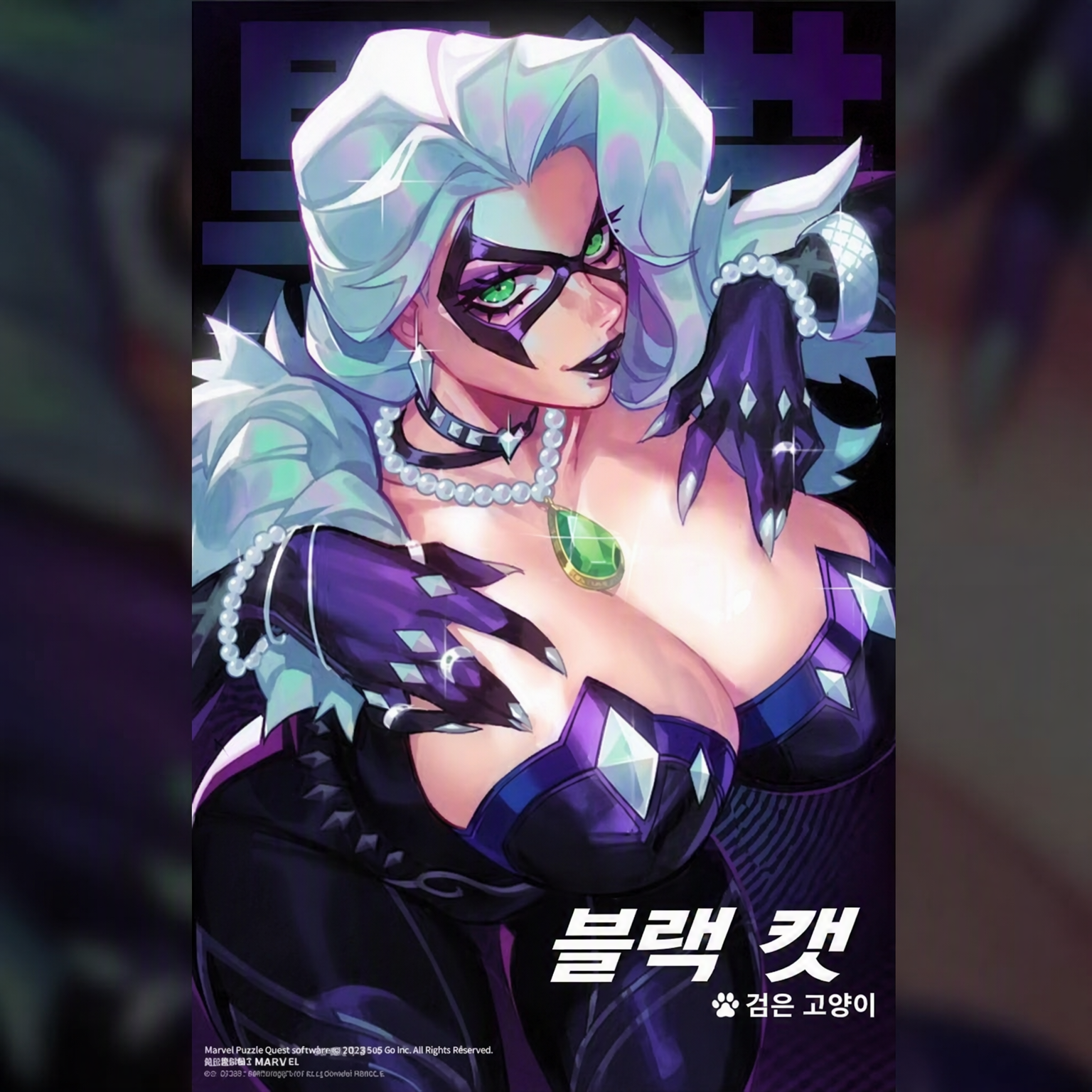 블랙 캣 대표 이미지