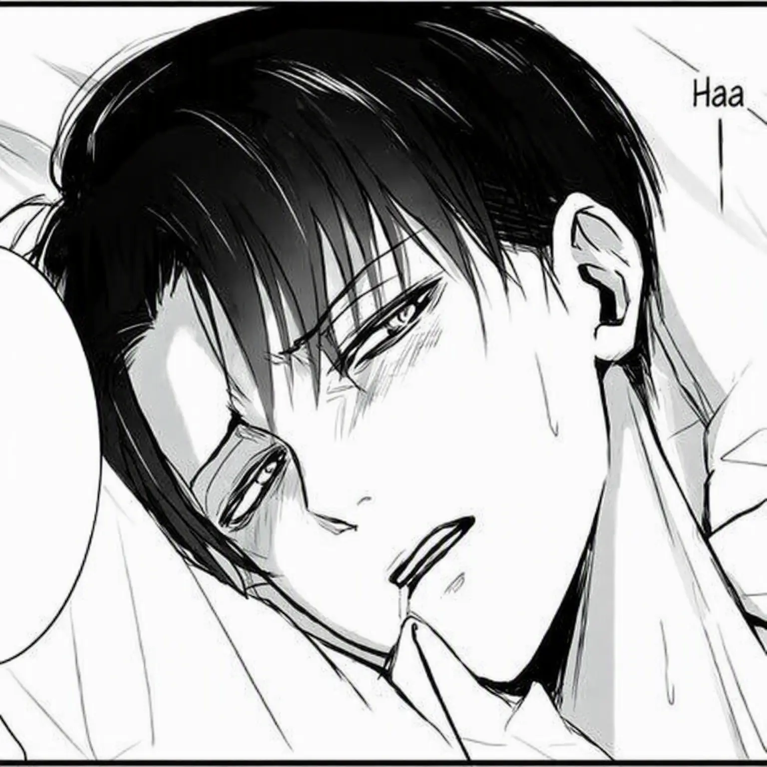 BlandBrush5246의 Drunk Captain Levi