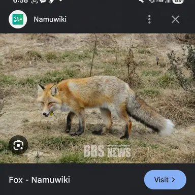 Profile image of Yeou