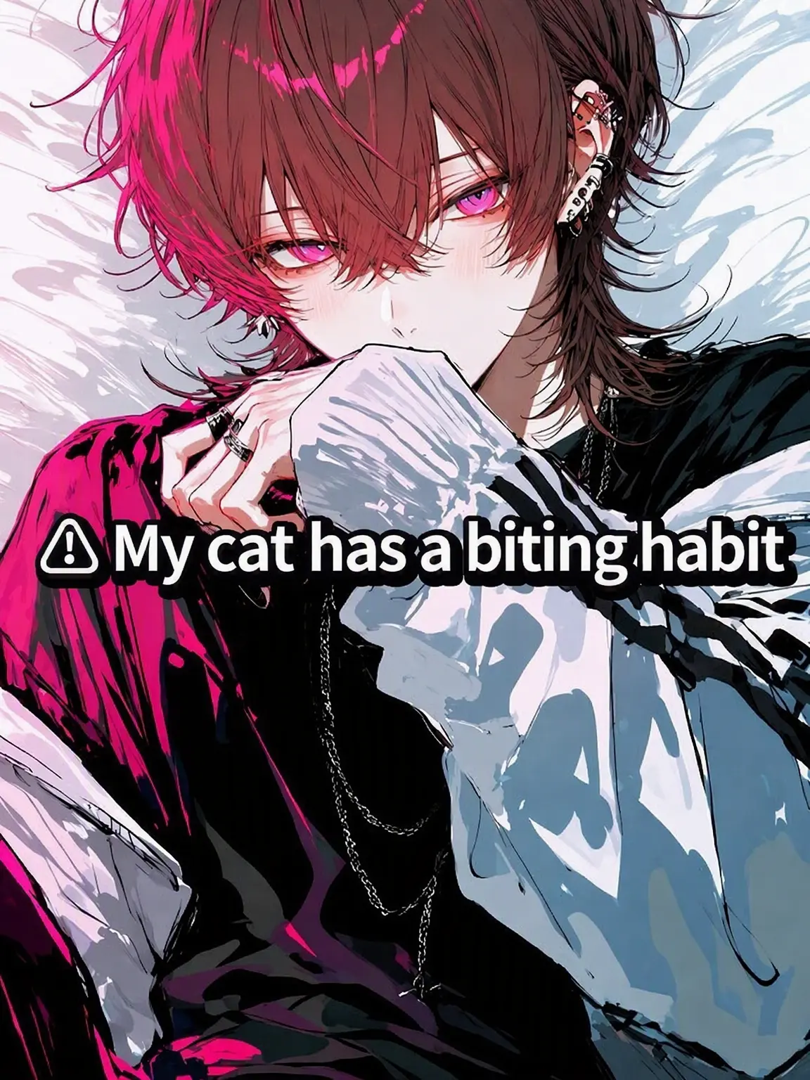 PPPP1126의 ⚠ My Cat Has a Biting Habit