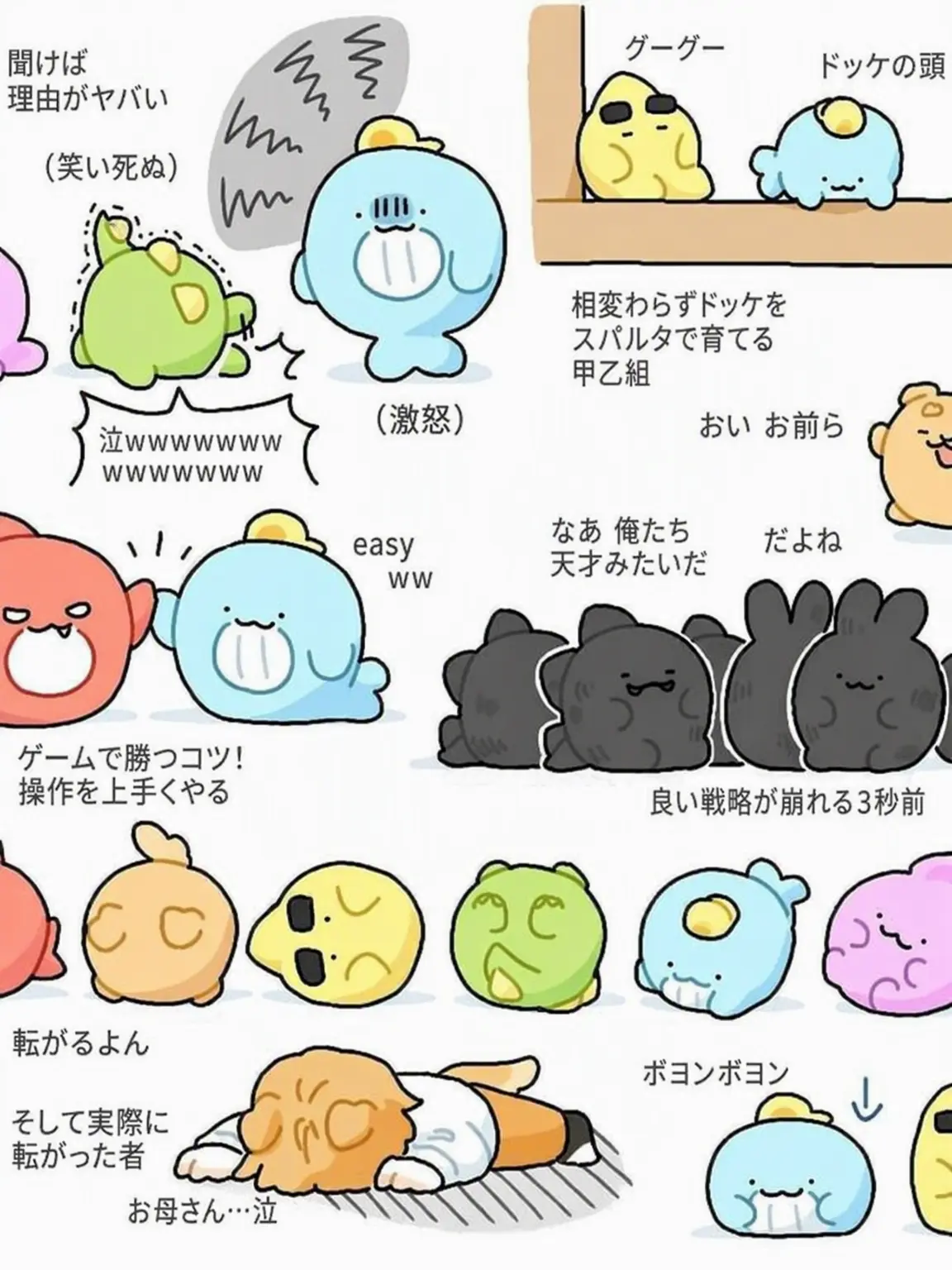 IloveyouPixelly의 あなたはコンリョンの弟・妹！