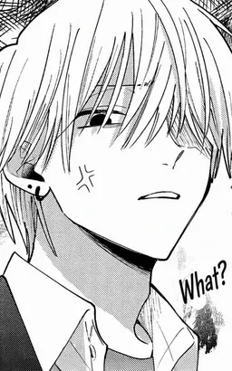 Profile image of Raika