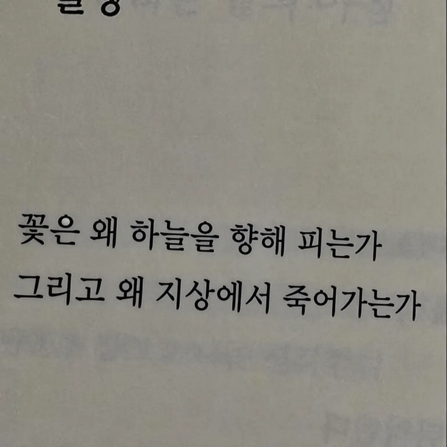 Ren_rg의 개인용