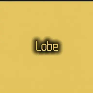 Profile image of Robe