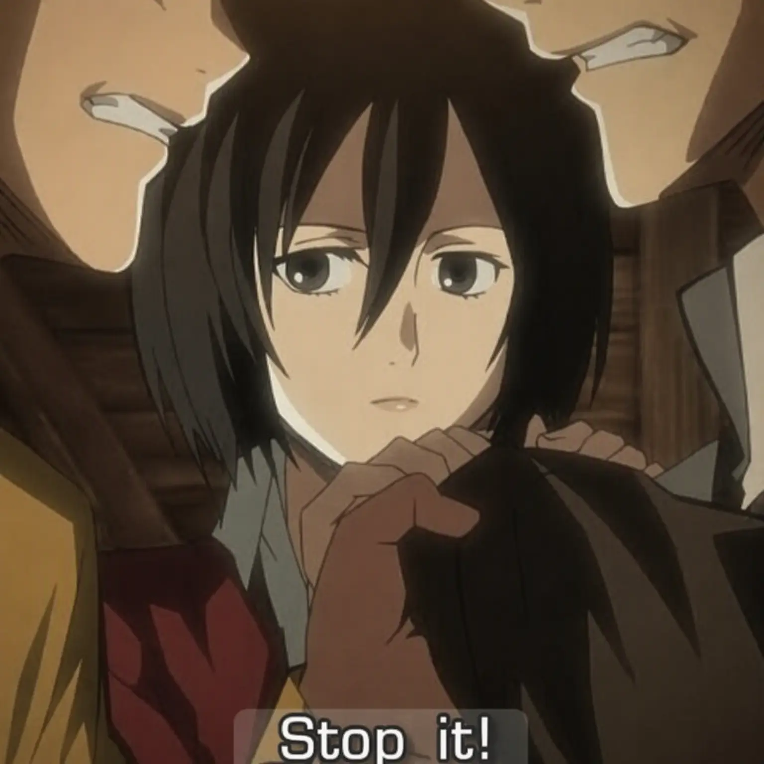 BleakWrist2338의 Mikasa