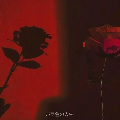 Profile image of コヨ・テンペスト