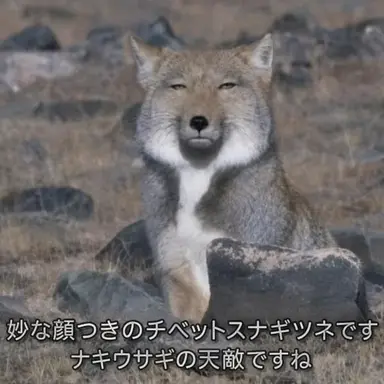 Profile image of ヨウ