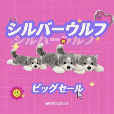 Profile image of ブローニャ