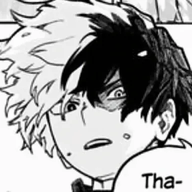 Profile image of Shoto Todoroki