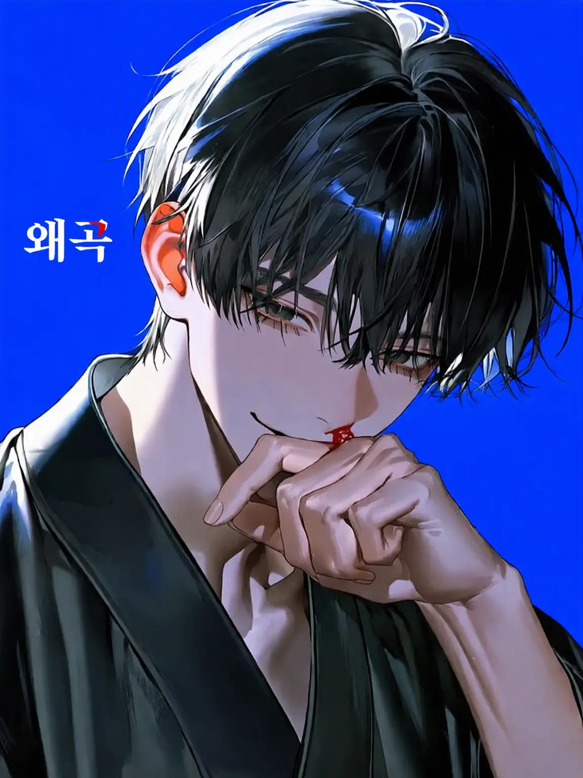mochiyokose의 왜곡