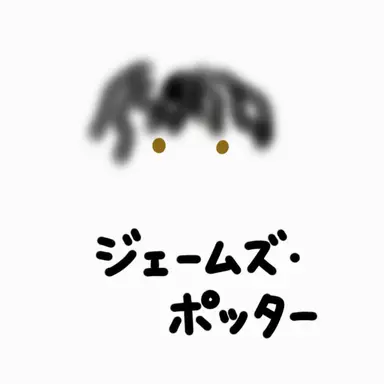 Profile image of ジェームズ・ポッター
