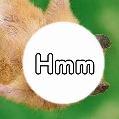 Profile image of Mumu