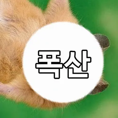Profile image of 폭산