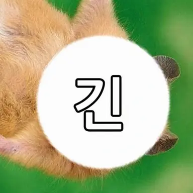 Profile image of 긴