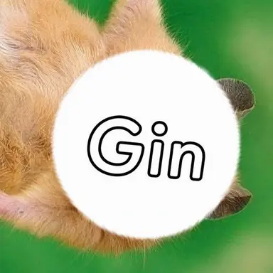 Profile image of Gin