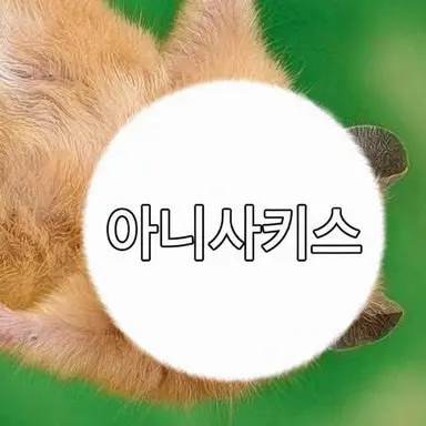 Profile image of 아니사키스
