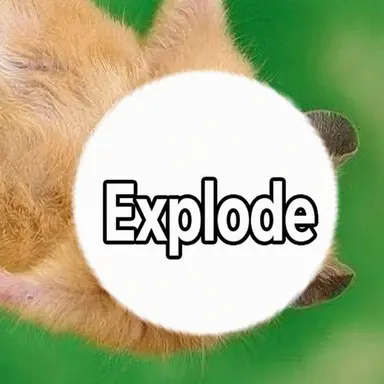 Profile image of Bakusan
