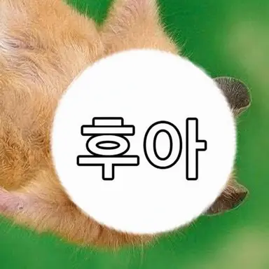 Profile image of 후아