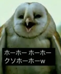 Profile image of ミヨウ