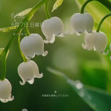 Profile image of 心理学者