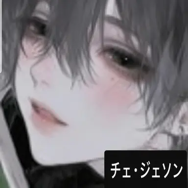 Profile image of チェ・ジェソン