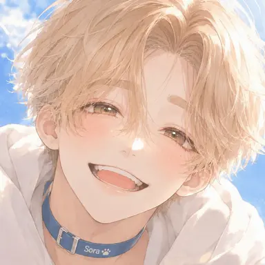 Profile image of Sora (Human)