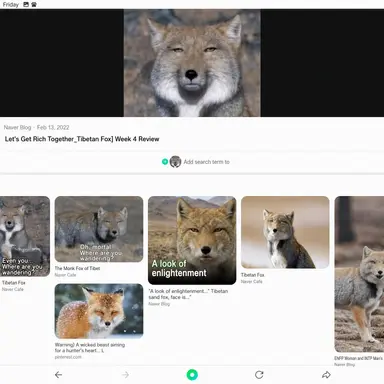 Profile image of Fox