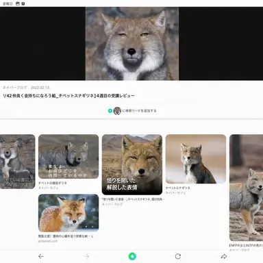 Profile image of キツネ