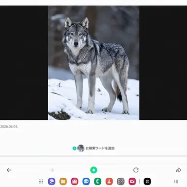 Profile image of オオカミ