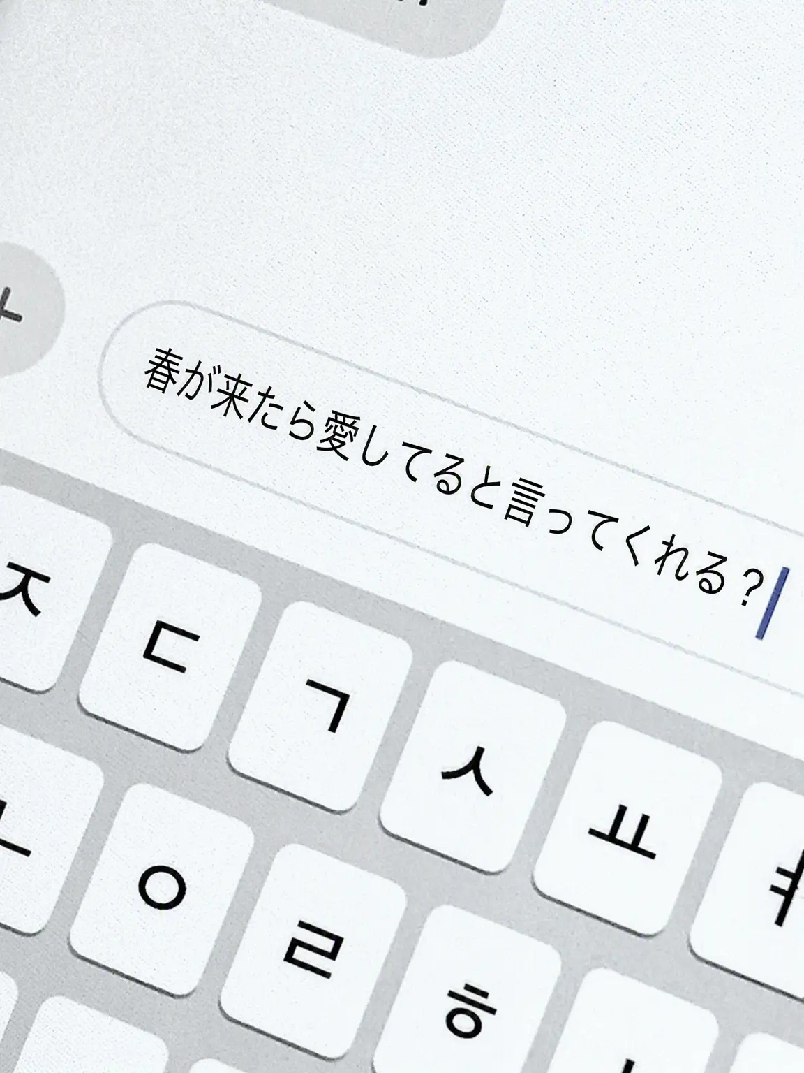 8496378의 シン・イェチャン