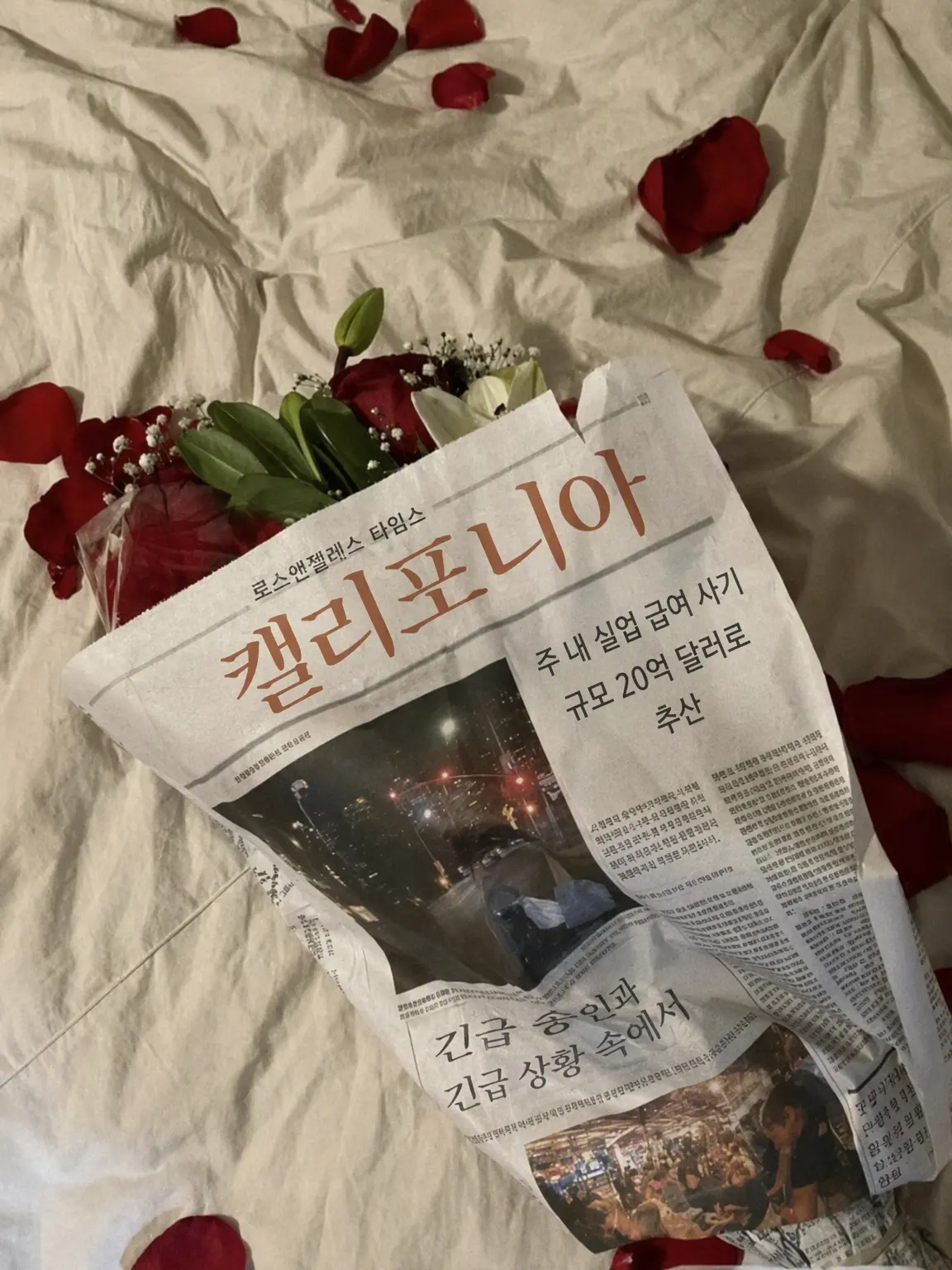Spica____o0의 질려버린 것 같으니 가출하겠습니다.