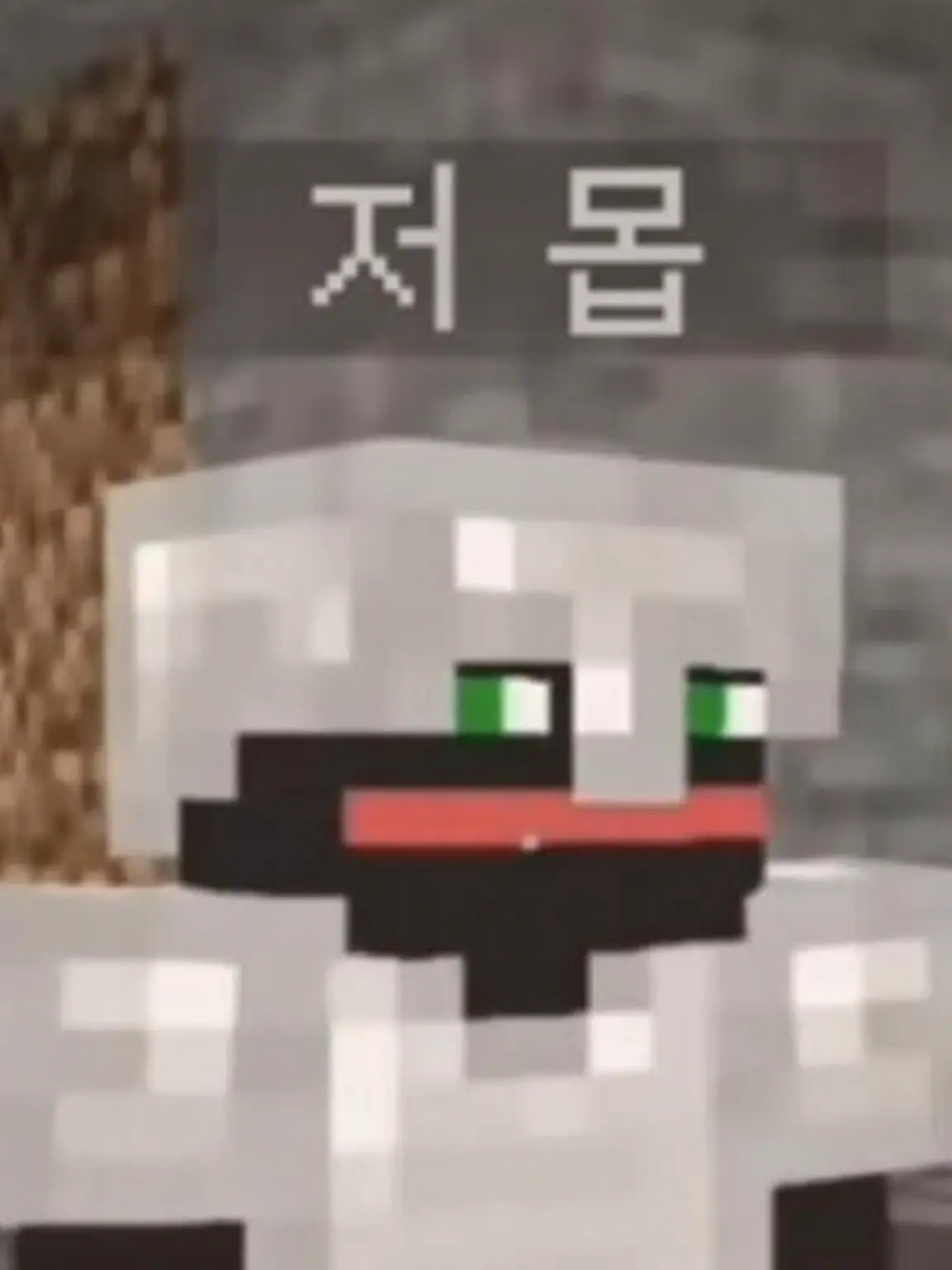 Omame0721의 제발 연구에 집중하게 해줘!!!