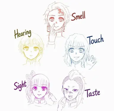 Profile image of Five Senses Group