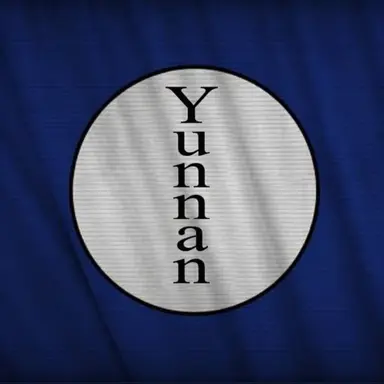 Profile image of Yunnan Clique