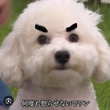 Profile image of 生田ジラ