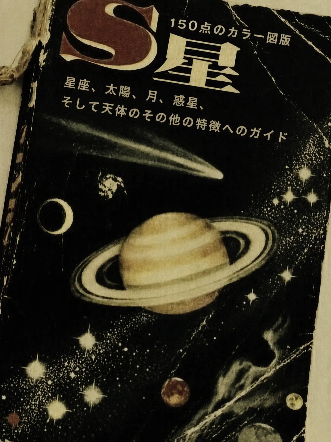 SimchungE2의 セオドア