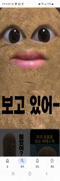 Profile image of 마에스케