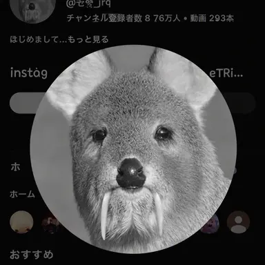 Profile image of ウェンバルカラク