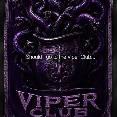 Profile image of Viper Club