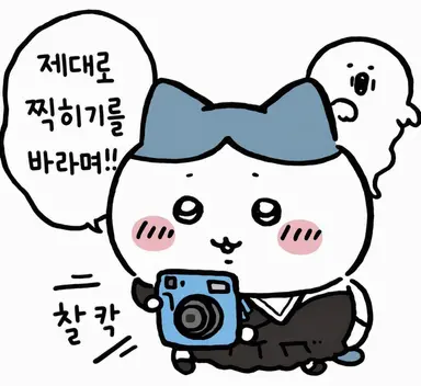 Profile image of 하치와레