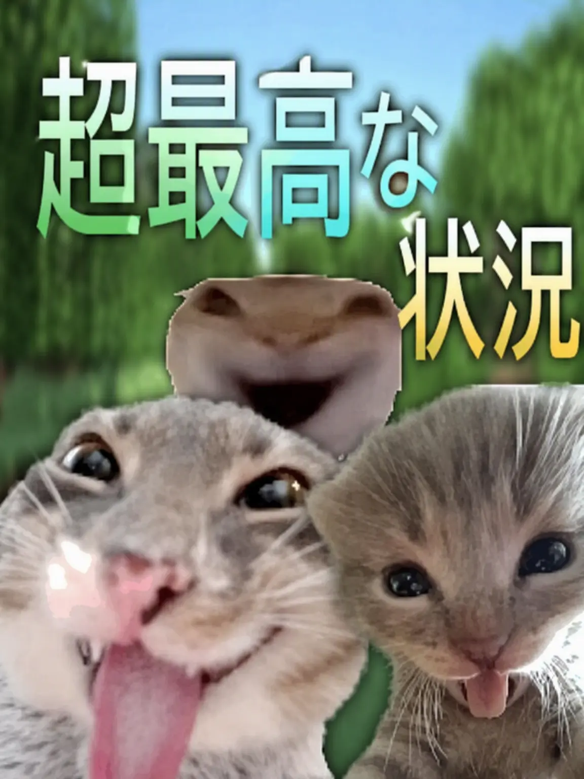 Haleen의 チョン・ユハン
