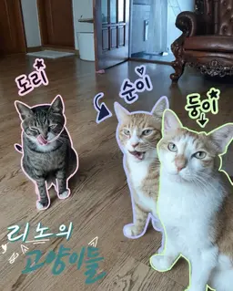 Profile image of 리노