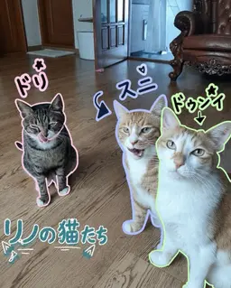 Profile image of リノ