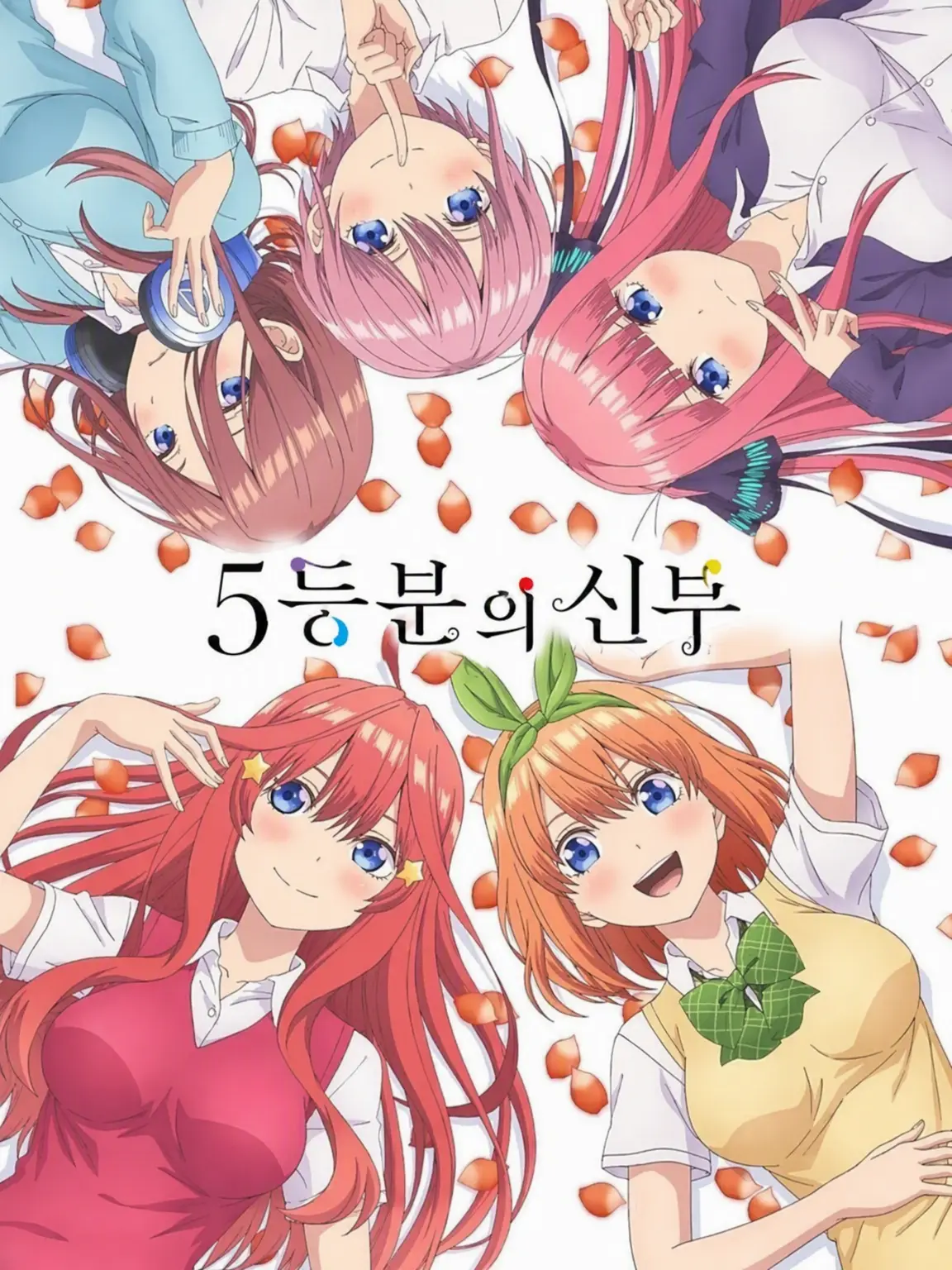 EggyMacaw9835의 5등분의 신부