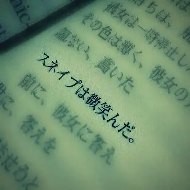 Profile image of セベ루스・スネイプ