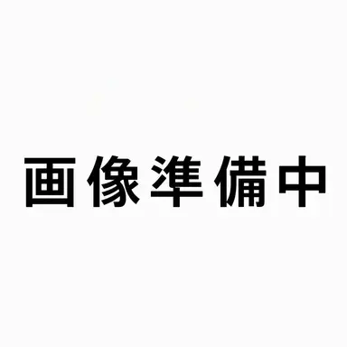 Profile image of テイニ