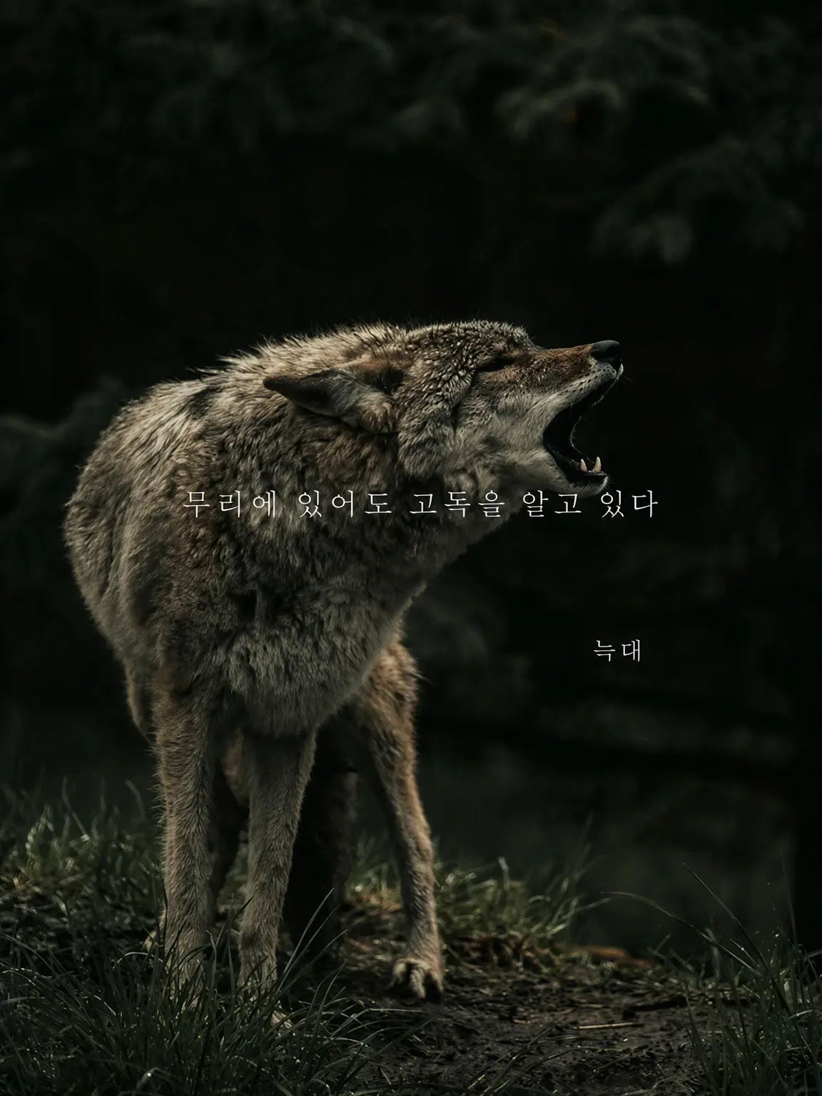 muge-train109의 초기 멤버 중에 전설의 1인이 있다는 걸 아시나요?