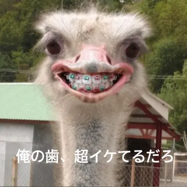 Profile image of ヨウ