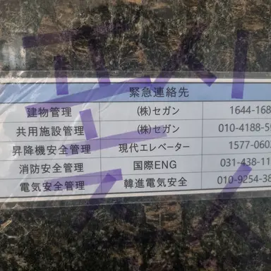 Profile image of パク・ミホ
